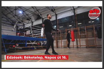 "A boksz gyors vita két intelligencia között" (NM)