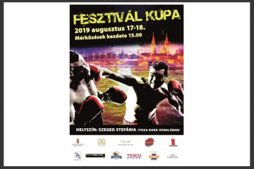 Fesztivál Kupa - Livestream