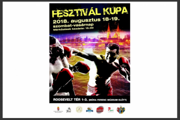 Fesztivál Kupa