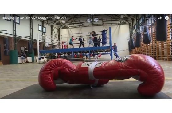  Boxvilág Se eredmények a Szeged TV-n