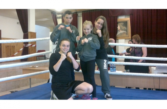 Vadmacskák a ringben