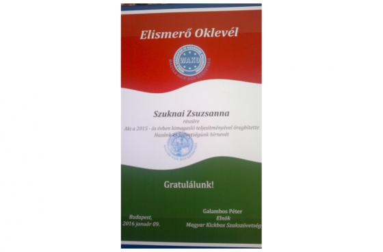 Elismerések a Magyar Kick-box Szövetségnél