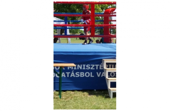 Vadmacskák a ringben és Combat Kupa egy hétévégén