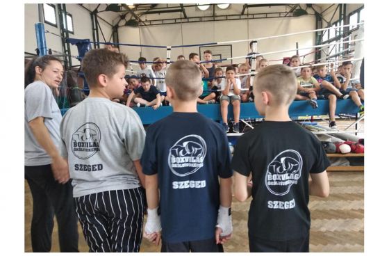 A jövő öklözői  a sportválasztó táborban