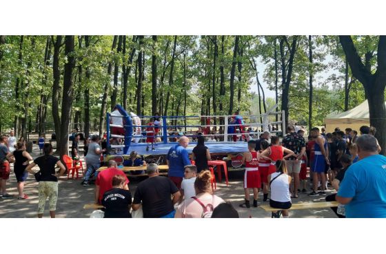 Sikeres Kupát rendezett a Boxvilág Se